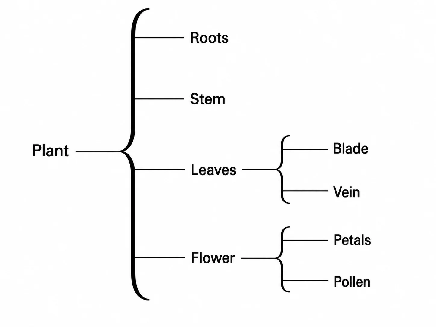 Brace Map Generator