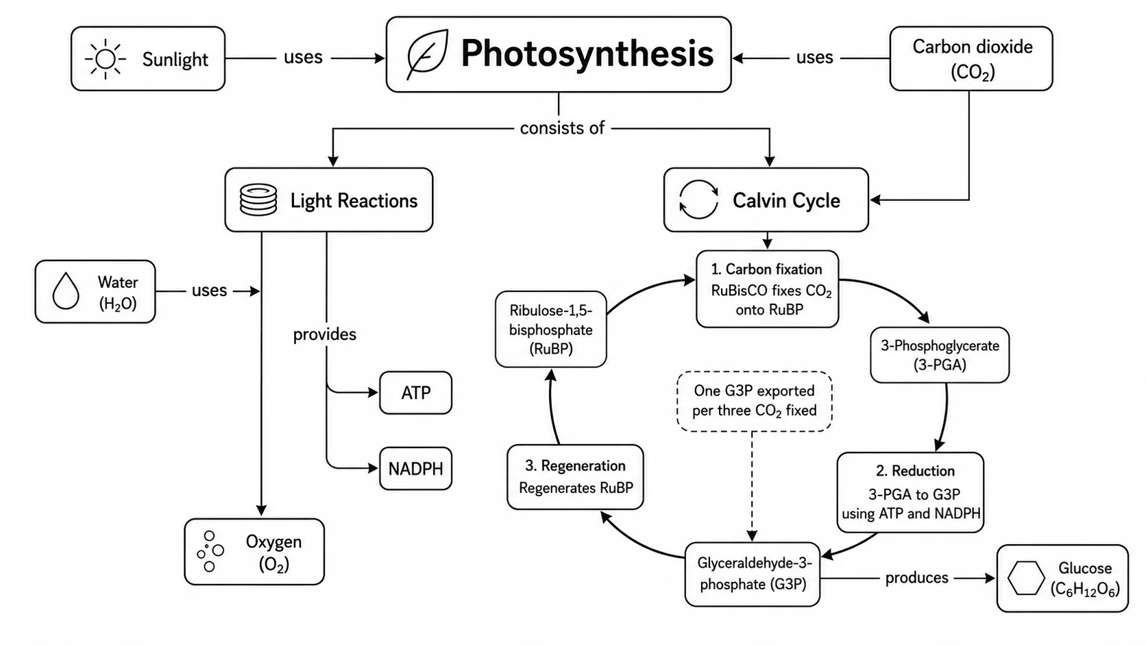 Concept Map Generator