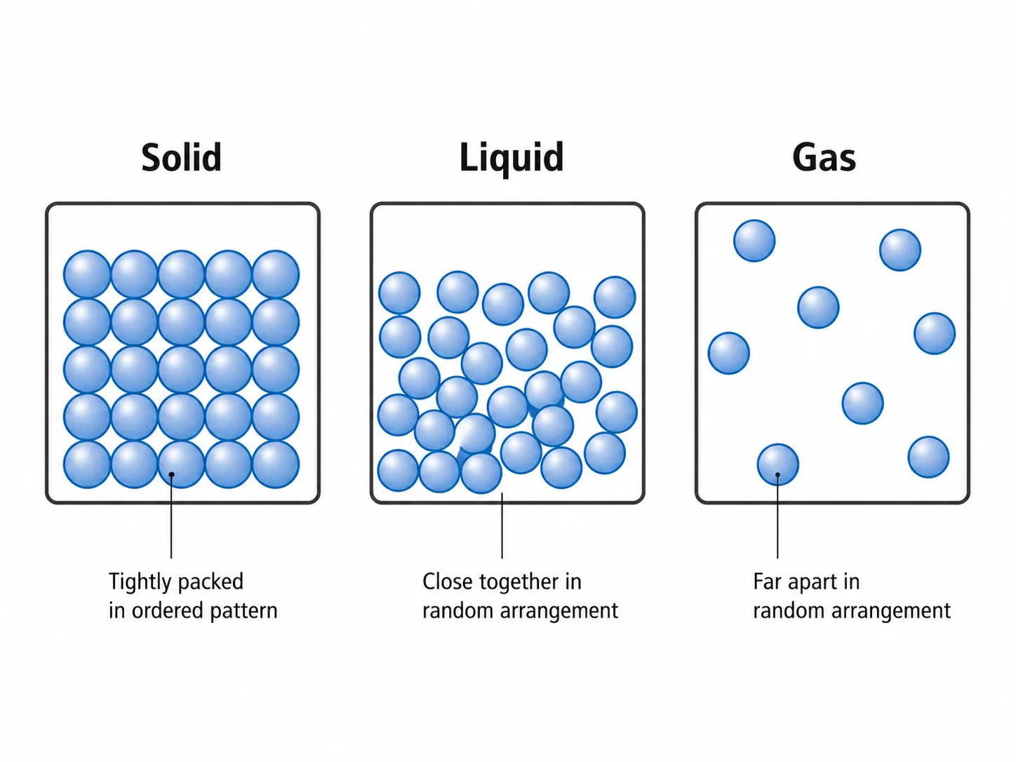 Particulate Diagram Generator
