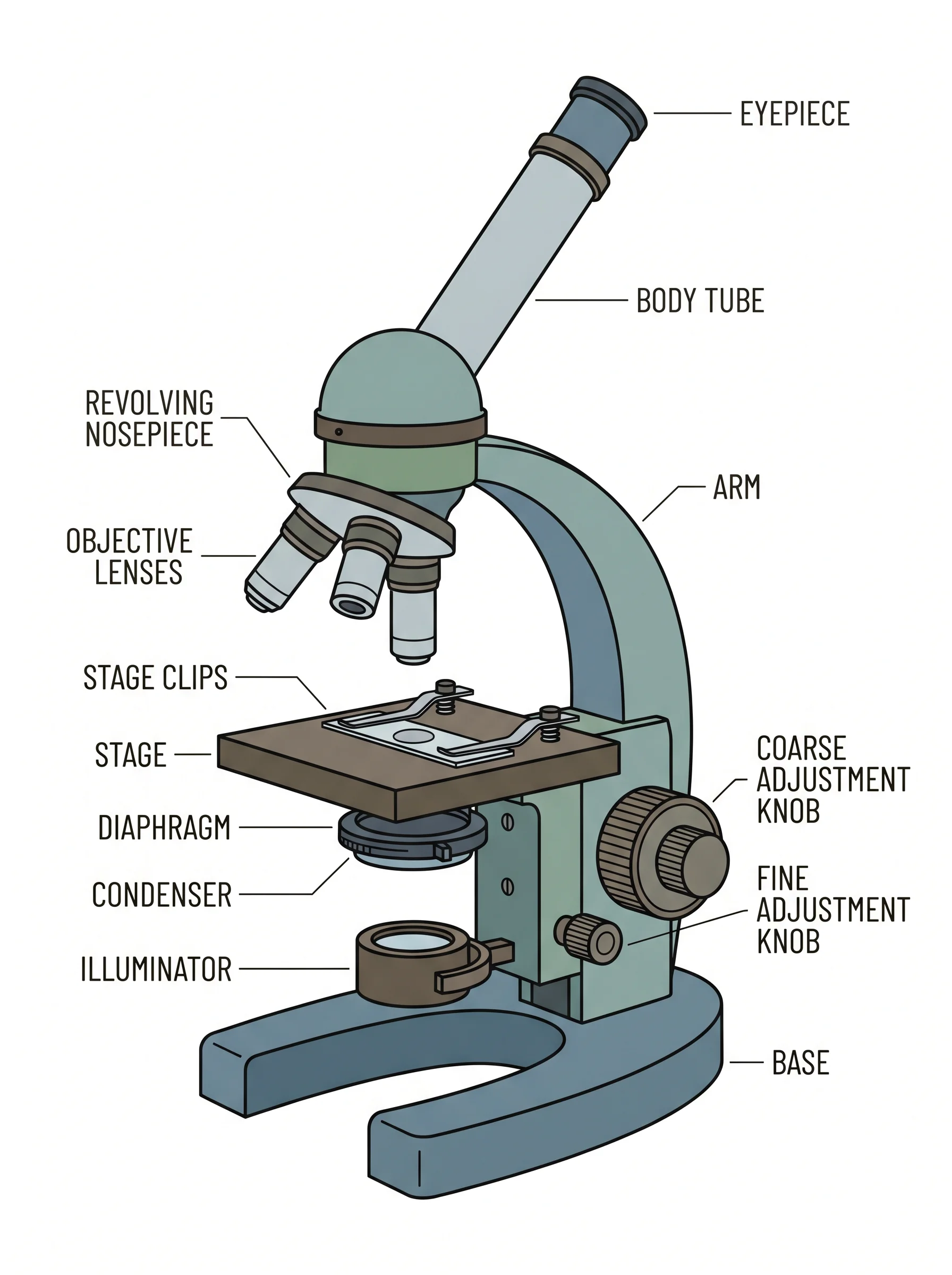 Parts of a Microscope Generator