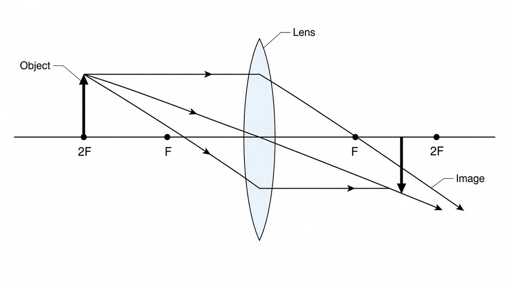 Ray Diagram Generator