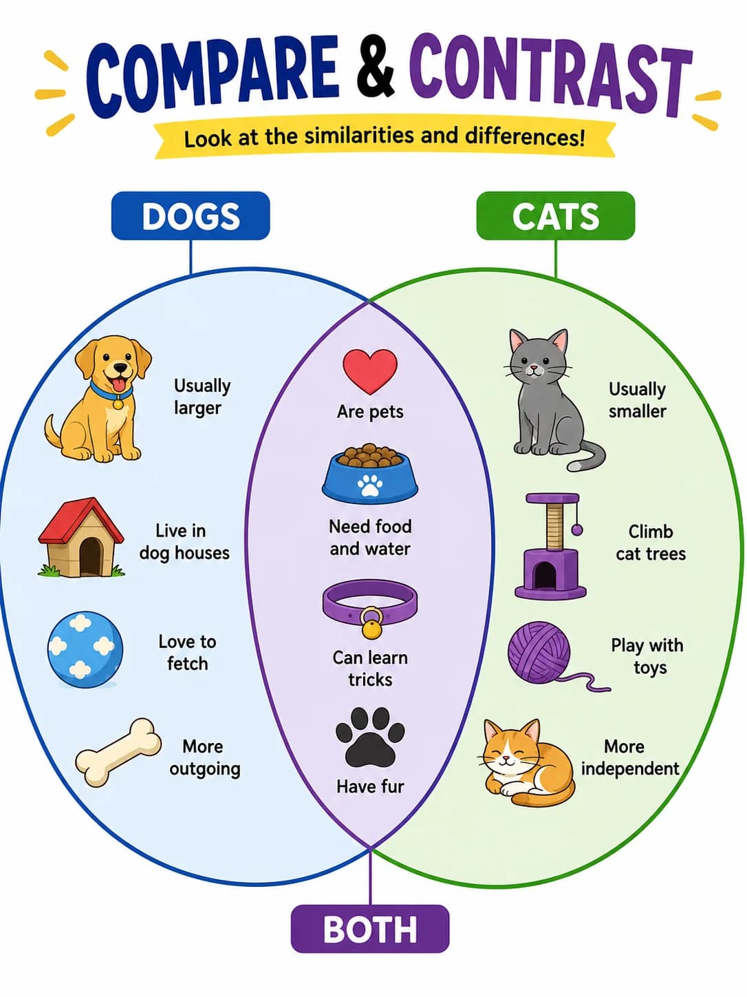 Compare and Contrast Graphic Organizer Generator