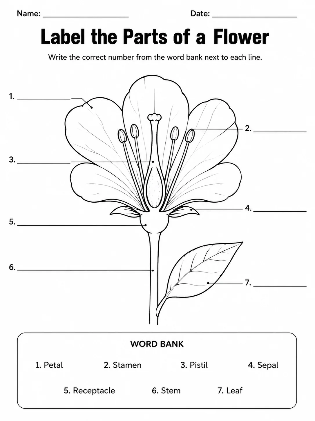 Printable labeled diagram worksheet with blank label lines pointing to parts of a flower.