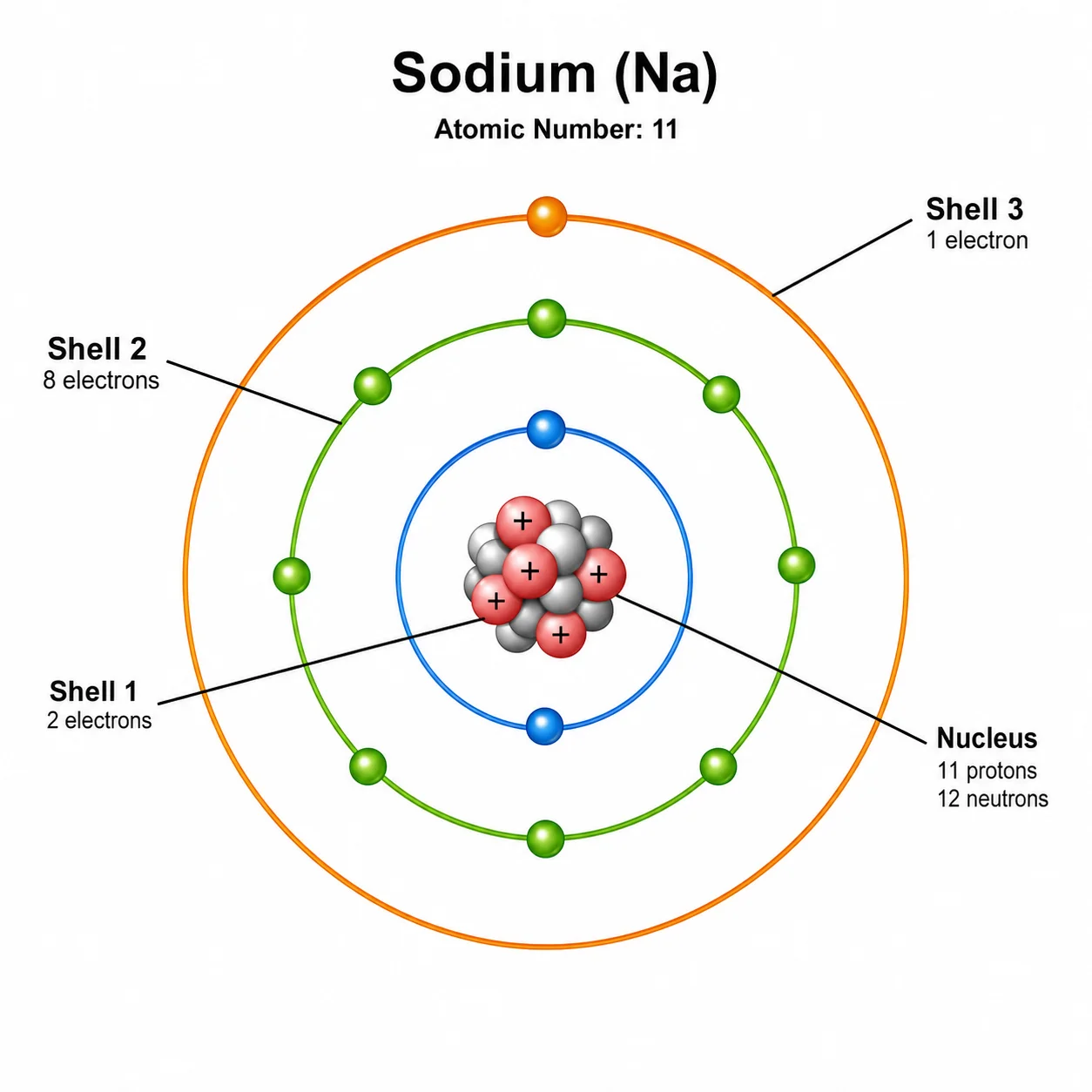 Bohr model of sodium showing 3 electron shells: 2 electrons, 8 electrons, 1 electron.