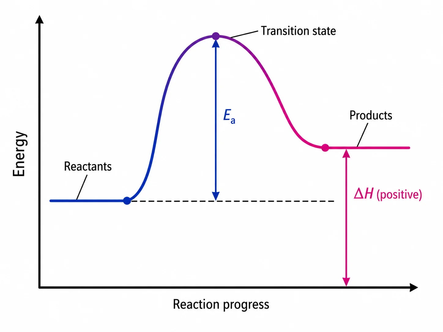 Reaction energy profile diagram for an endothermic reaction with positive delta H labeled.