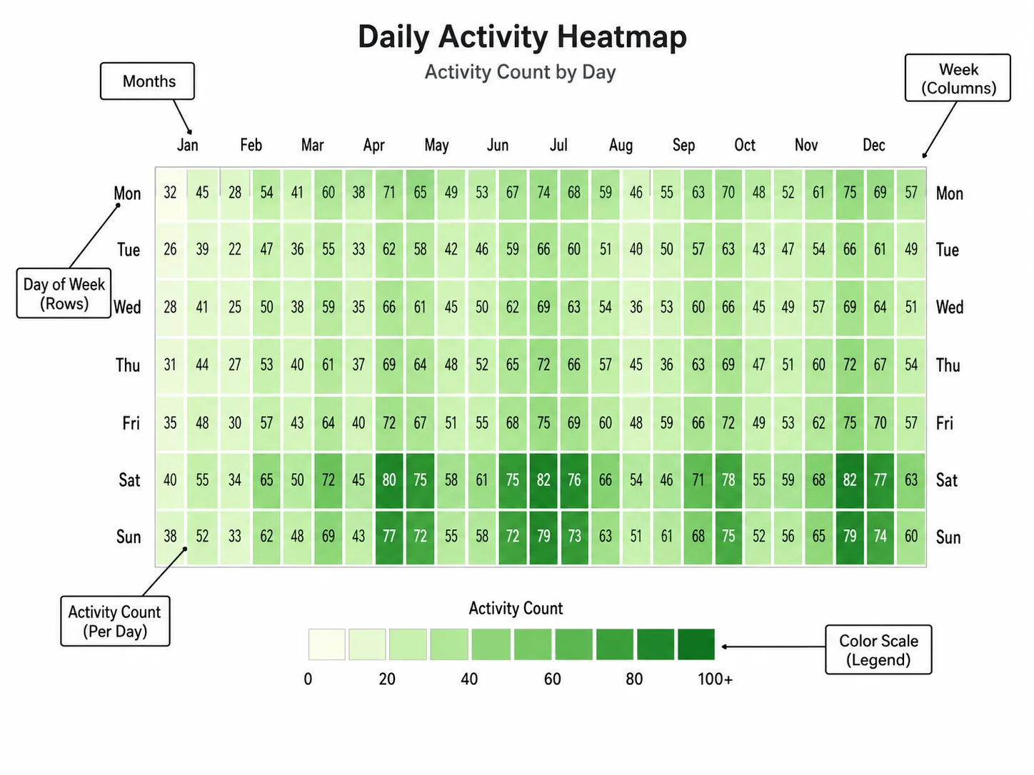 GitHub-style calendar heatmap showing daily activity levels across 12 months.