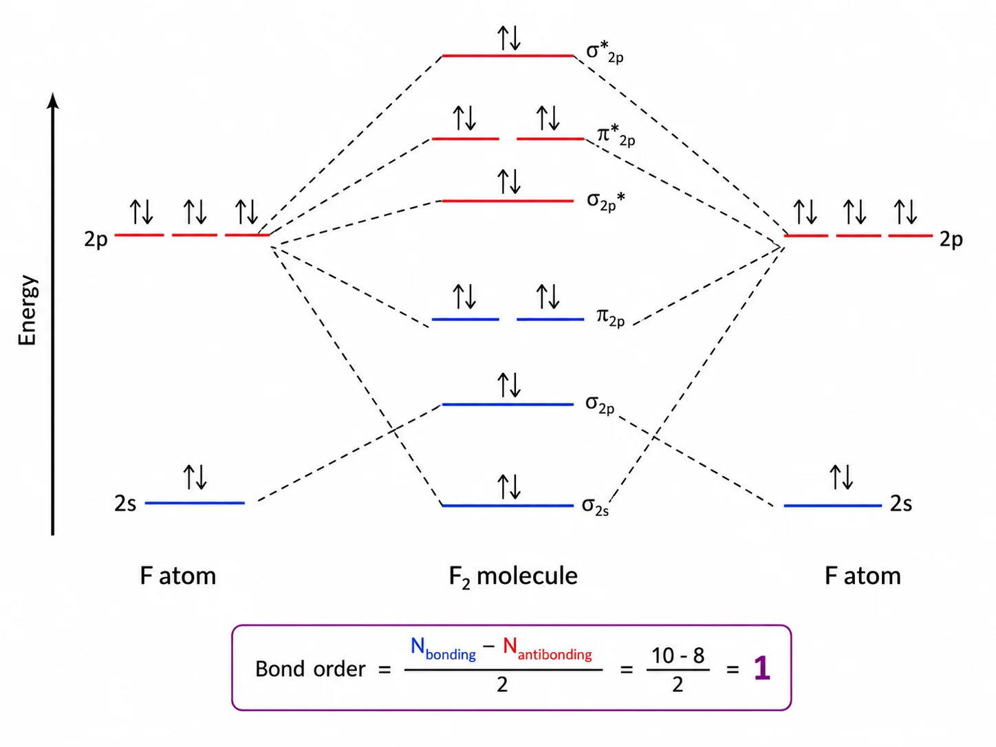 Molecular orbital diagram of F2 showing bond order 1 with many filled antibonding orbitals.
