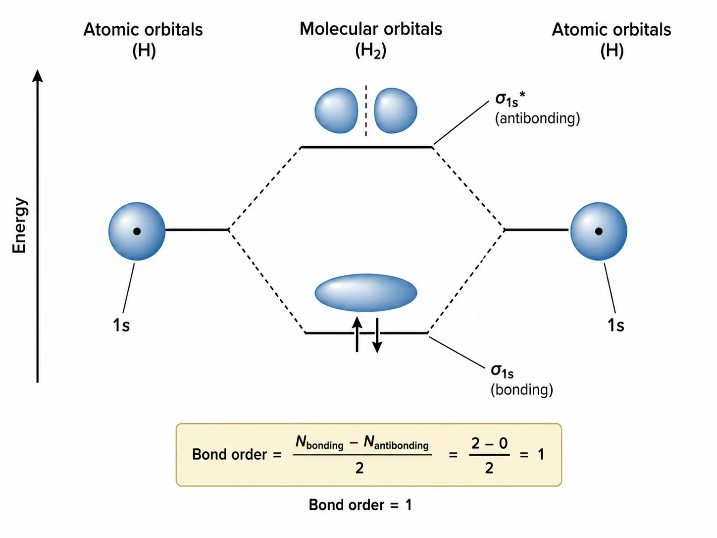 Simple molecular orbital diagram of H2 with one bonding sigma orbital filled and bond order 1.