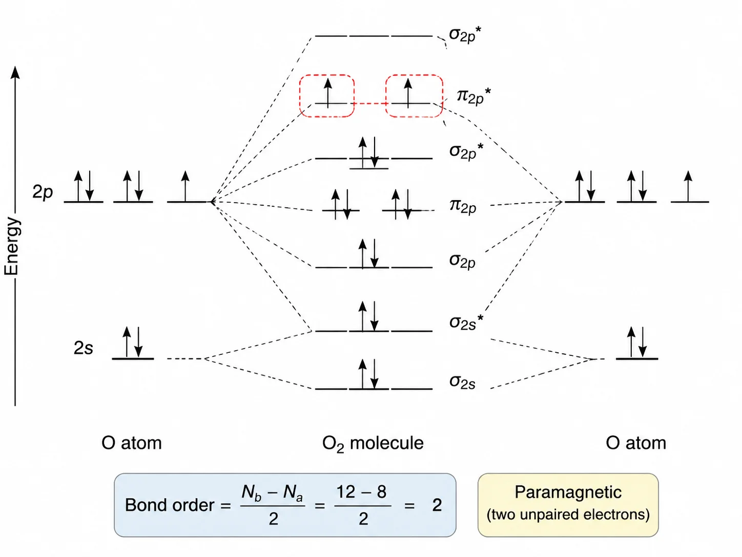 Molecular orbital diagram of O2 showing two unpaired electrons in pi antibonding orbitals and bond order 2.