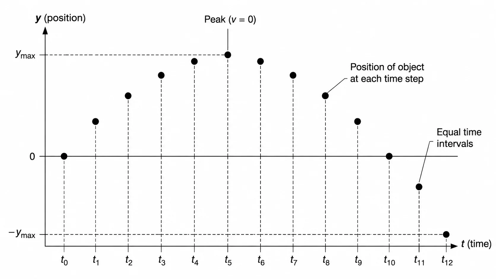 Physics motion diagram of an object thrown upward then falling, on a vertical axis.