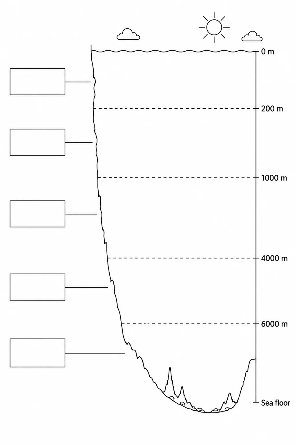 A blank ocean zones worksheet with empty label boxes and leader lines for students to fill in.