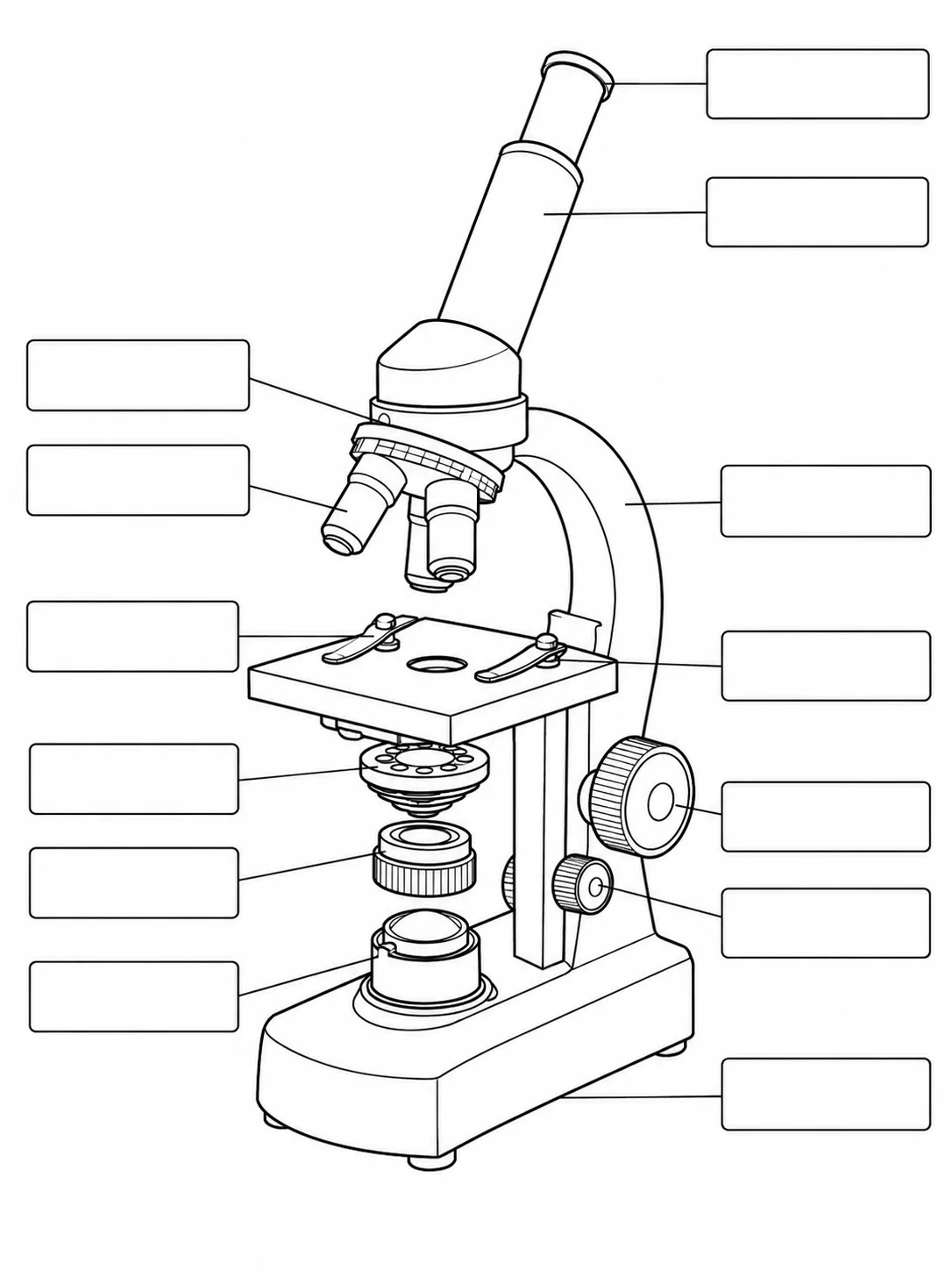 A blank parts of a microscope worksheet with empty label boxes and leader lines for students to fill in.
