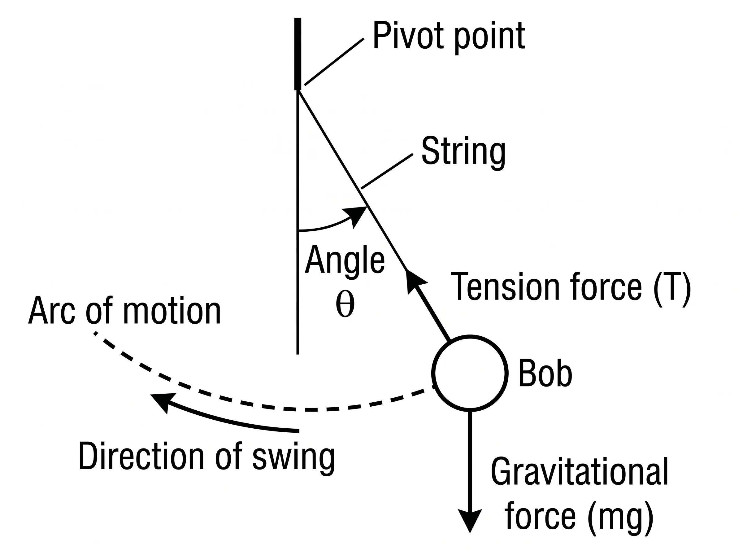 Physics drawing of a pendulum showing tension, gravity, and swing arc with labeled force arrows.