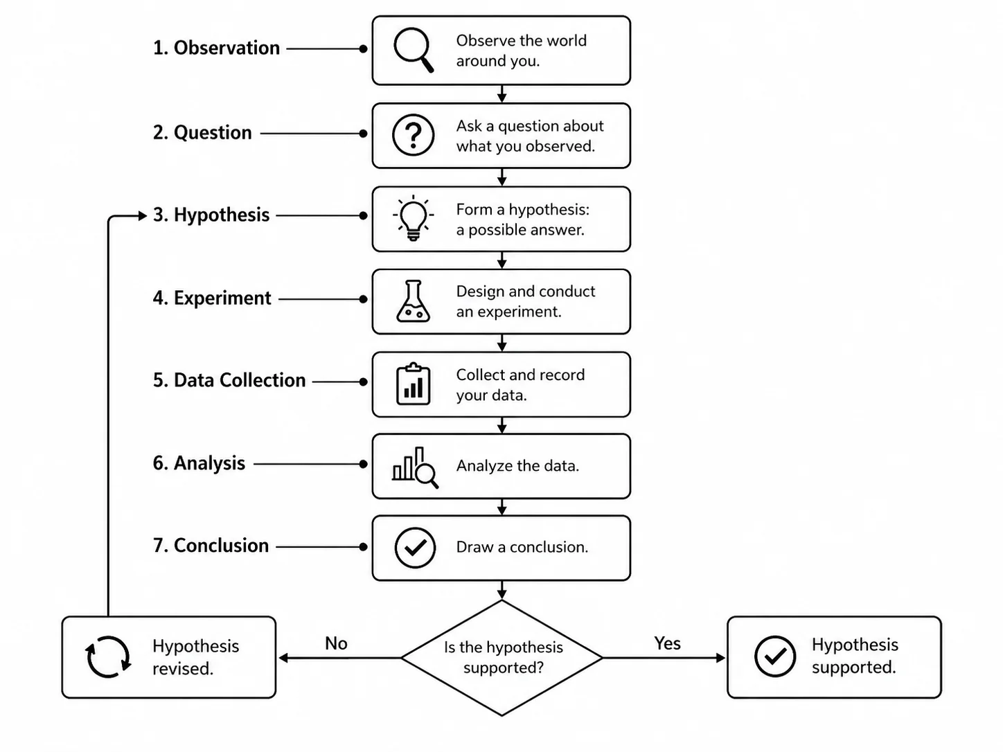 Labeled flowchart of the scientific method from observation to conclusion.