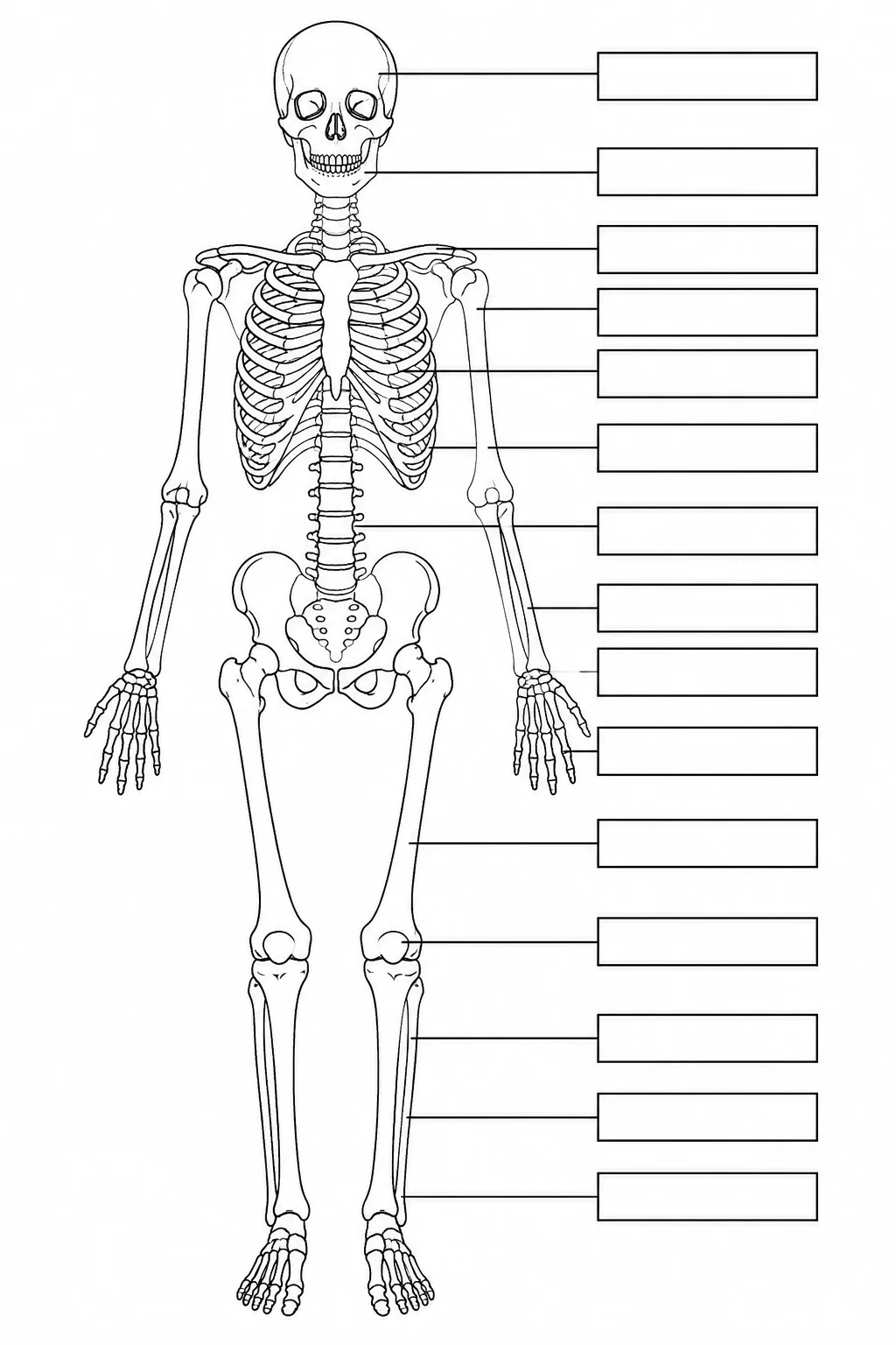 A blank skeleton worksheet with empty label boxes and leader lines for students to fill in.