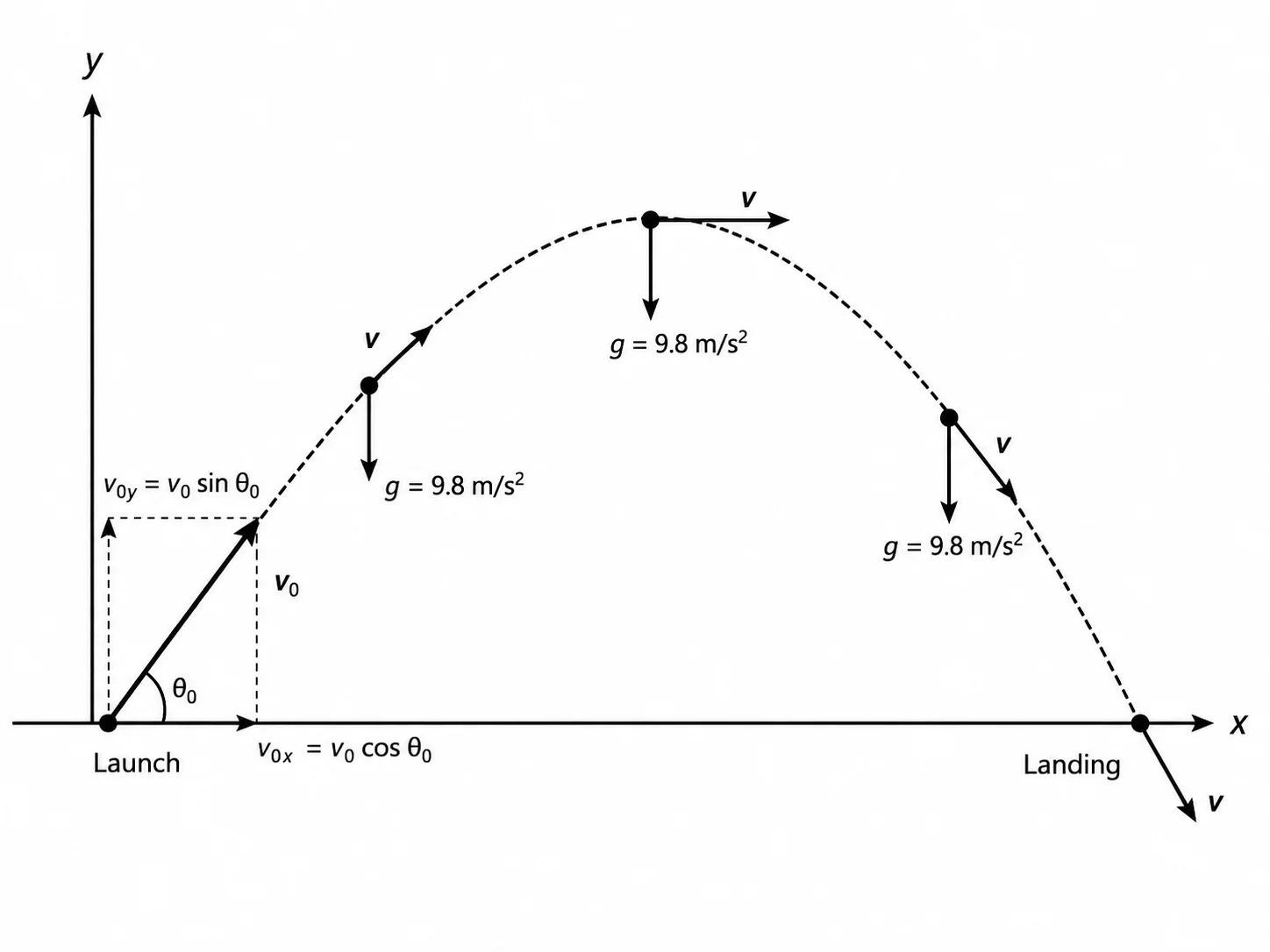Projectile trajectory with velocity vectors at multiple points and constant downward acceleration vector.
